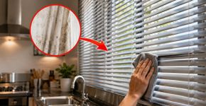 Adeus às cortinas de tecido na cozinha: as persianas de alumínio elegantes e mais resistentes à gordura que estão em alta em 2026