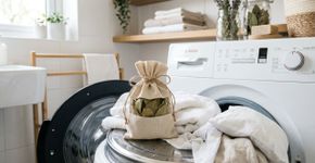 Colocar folhas de louro na máquina de lavar: para que serve e por que virou moda?