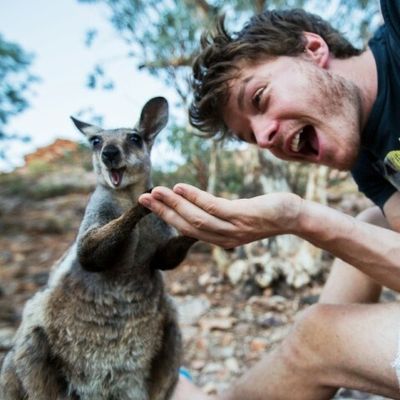 Fotógrafo tira selfies com animais