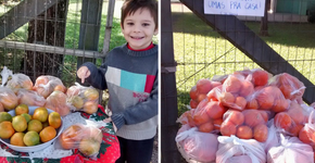 Família oferece em sua casa frutas gratuitas a quem quiser pegar
