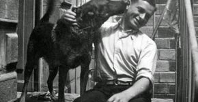 Judeus revelam o que os nazistas fizeram com seus cães e gatos