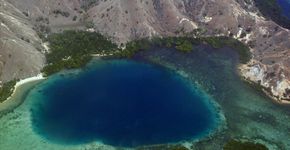 Komodo, a ilha dos ‘dragões’ na Indonésia