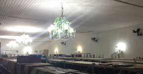 Feirão Um Milhão de LPs inaugura nova loja