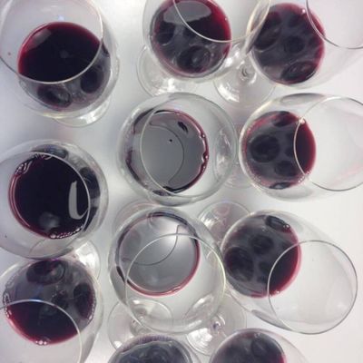 Os vinhos são então engarrafados e etiquetados. Saúde!