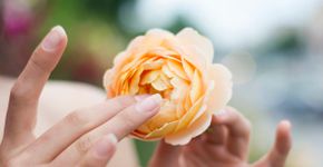 Foto: (Elitsa Deykova/istock)