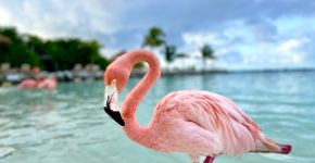 Foto: (ajansen/istock)