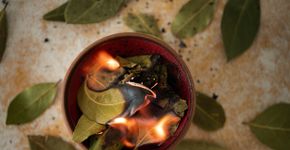 Foto: (banusevim/istock)