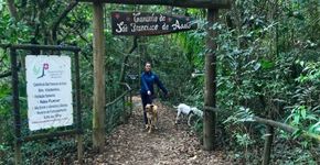 Foto: (Lado B Viagem/Patas ao Alto)