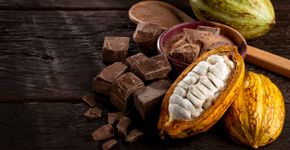 Foto: (iStock/WS Studio)