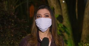 Foto: (Reprodução/Globo)