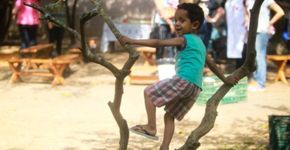 Brinquedos não estruturados estimulam a imaginação dos pequenos
