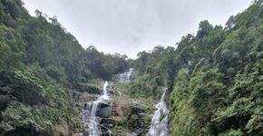 Foto: (Picinguaba)