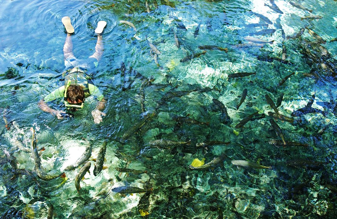 Turista observa peixes no Aquário Natural