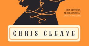 O mistério de Chris Cleave, em “Pequena Abelha”