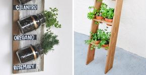 Oito passos para fazer uma horta em casa