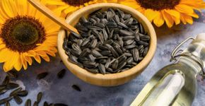 6 benefícios das sementes de girassol para a saúde e como usá-las