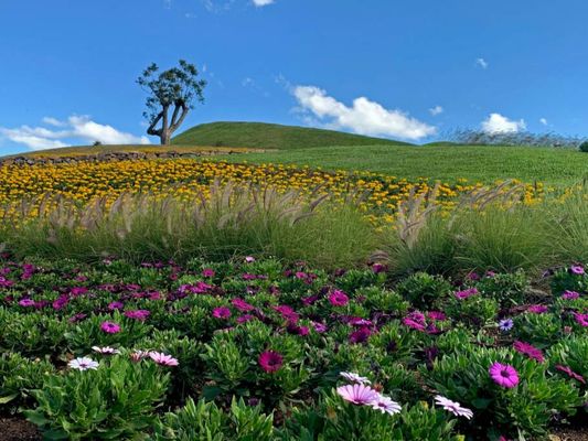 Mátria Parque de Flores