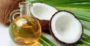 Cientistas afirmam que óleo de coco será o novo creme dental