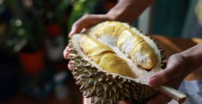 Foto: (Thai Liang Lim/istock)