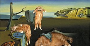 Artista russa insere seu gato de estimação em pinturas clássicas