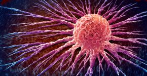 Foto: (iSTock/wildpixel)