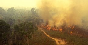 Foto: (iStock/Brasil2)