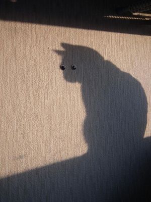 Foto: photohito.com