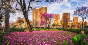 Foto: (AntonioSalaverry/iStock)