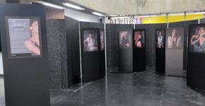 Exposição fotográfica em Diadema promove reflexão sobre comunidade trans
