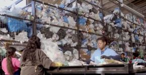 ONG de reciclagem de materiais tem mulheres na dianteira; conheça