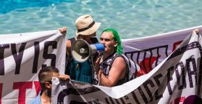 Ativistas protestam contra exploração de golfinhos no SeaWorld