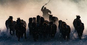 Veja os vencedores do concurso de foto da National Geographic