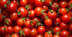 Foto: (cegli/istock)