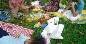 Grupo de amigos realiza piqueniques no parque Ibirapuera para quem quiser participar