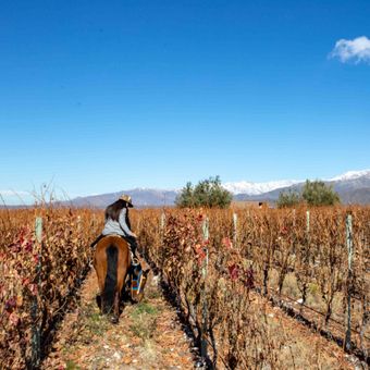 Featured mobile: Mendoza, na Argentina, tem hotéis até 20% mais baratos brasileiros