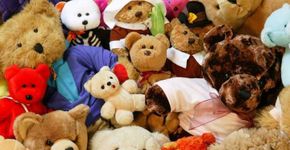 Campanha arrecada bichinhos de pelúcia dados por ex-namorados