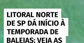 Litoral norte de São Paulo dá início à temporada de baleias