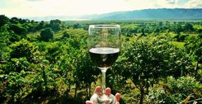 São Roque, o paraíso das degustações gratuitas de vinho e queijo