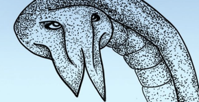 Este teste com imagens tenta identificar qual é a sua profissão