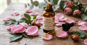 Prepare este sérum caseiro com óleo de rosa mosqueta e sinta a pele madura muito mais firme