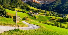 Foto: (Janoka82/iStock)