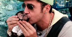 Morre Twelves, o macaco de Latino
