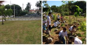 Marginal Pinheiros terá a maior ‘floresta de bolso’ da cidade
