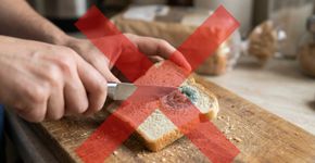 Retirar apenas a parte esverdeada de uma fatia de pão mofado parece suficiente para aproveitar o restante, mas os fungos podem se espalhar por regiões que continuam aparentemente normais: especialistas em segurança alimentar recomendam descartar o pão contaminado, já que sua estrutura porosa facilita a penetração do mofo