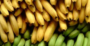 Banana previne câimbras e ajuda a diminuir o estresse