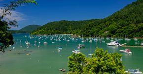 Foto: (FernandoPodolski/iStock)