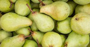 Foto: (iStock/Hans Verburg)