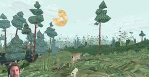 Dica Digital Joga: Shelter 2