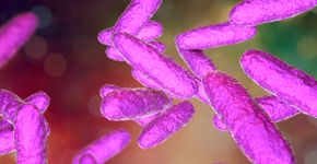 Foto: (Dr_Microbe/istock)
