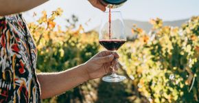 Foto: (Igor Alecsander/iStock)